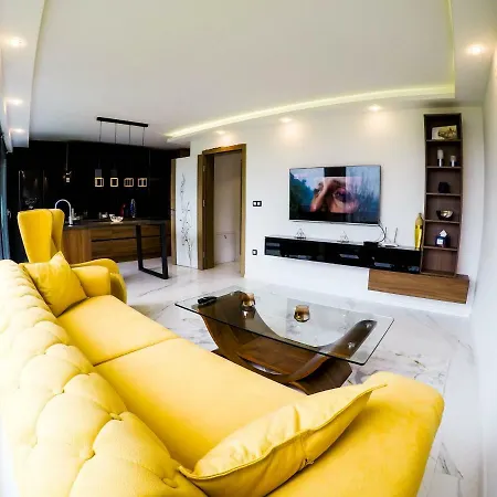 Luxury Ali